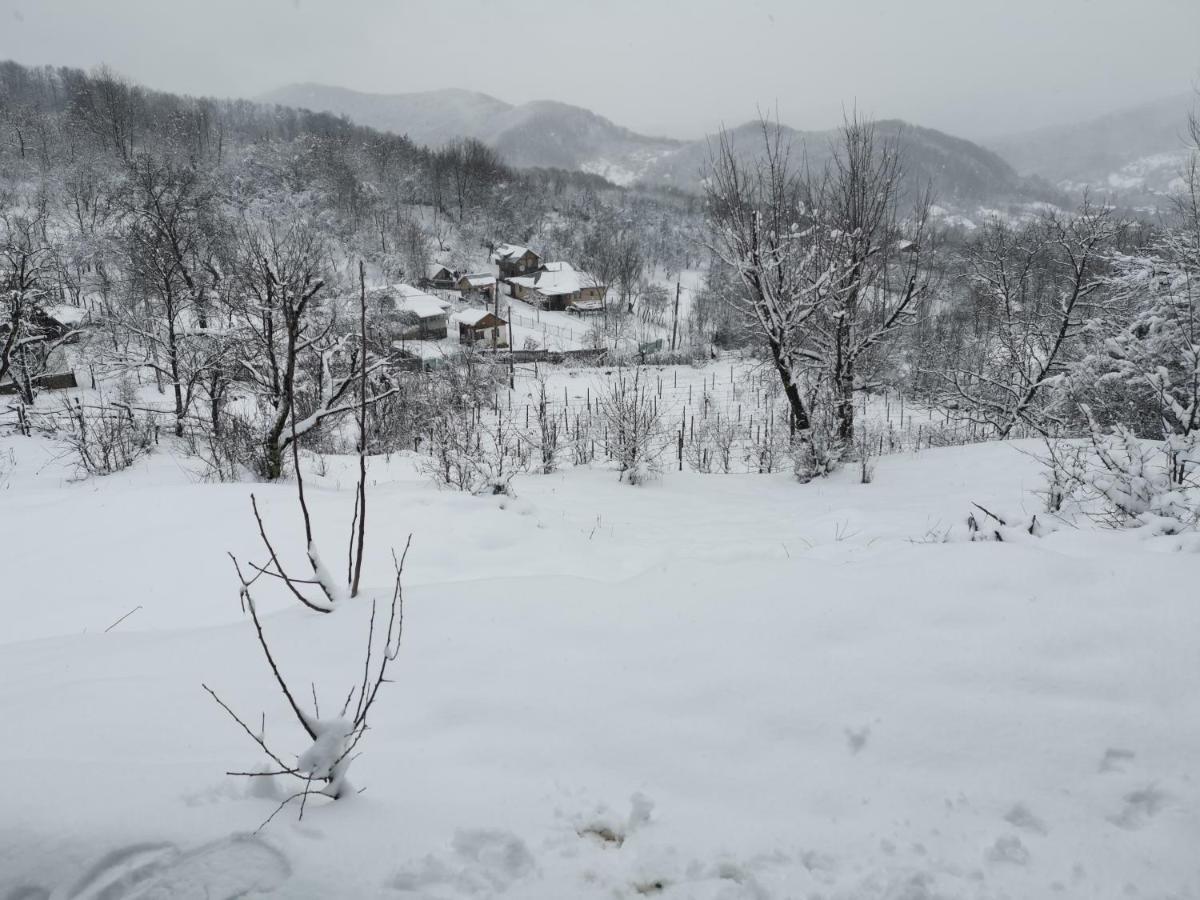 Cabanuta Fara Fite Villa Provita de Jos ภายนอก รูปภาพ