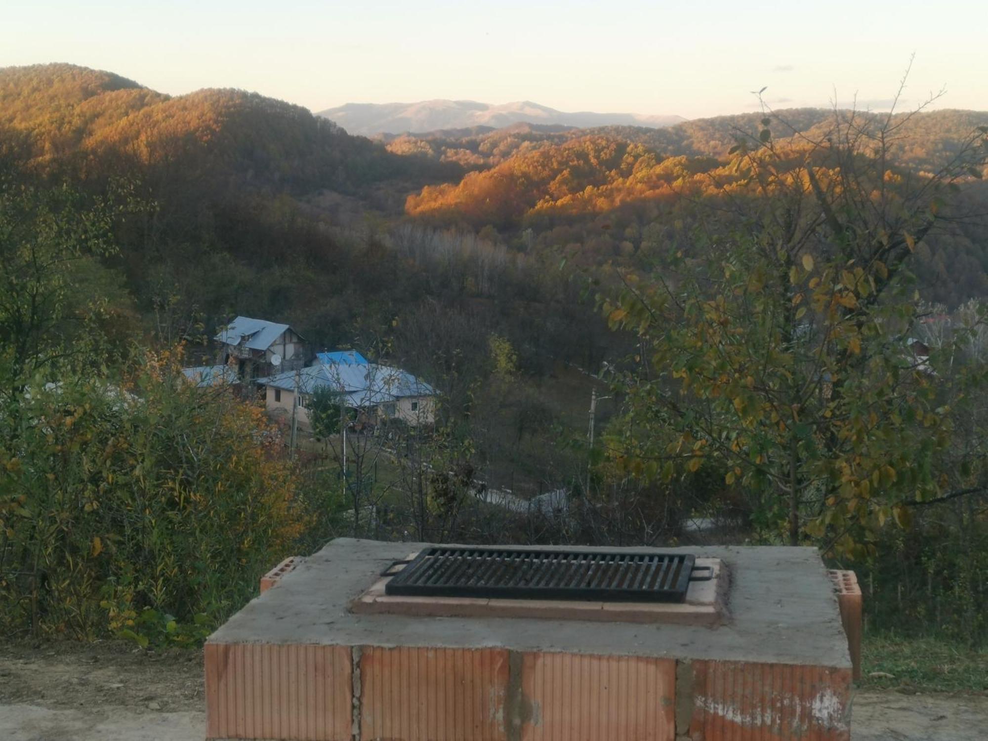 Cabanuta Fara Fite Villa Provita de Jos ภายนอก รูปภาพ